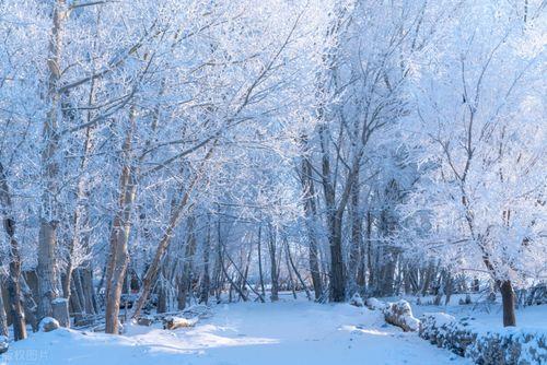 原来童话里的雪景真的存在