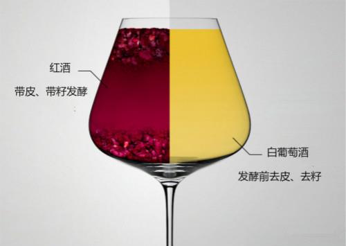 分辨红酒