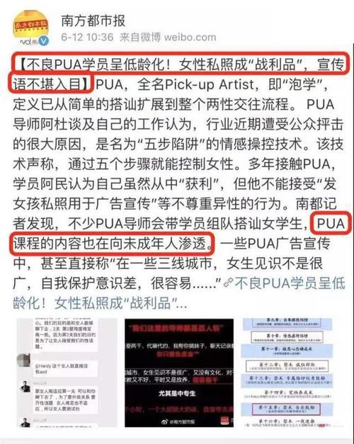 pun是什么意思网络用语