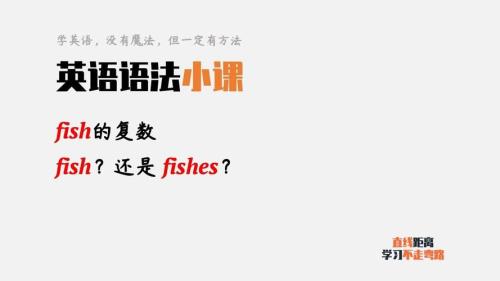 这里的fish为什么不加复数