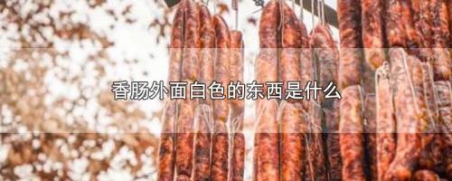 牛肠上面的那层白色的泥是什么