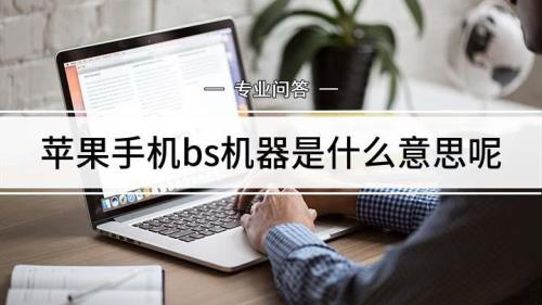 BS是是什么意思