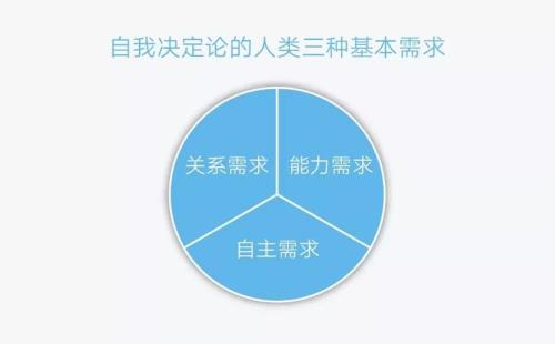 束缚力的意思