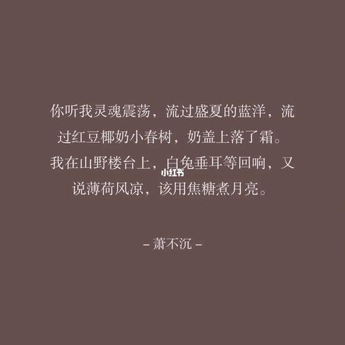 我在煮月亮什么含义