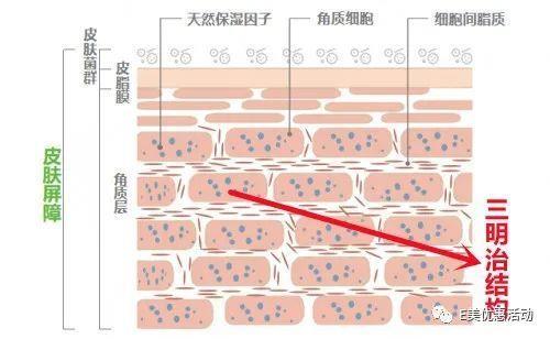 最简单的增厚角质层的办法