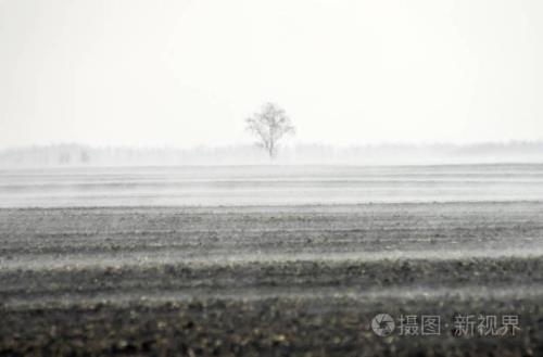 水蒸发了就消失了吗