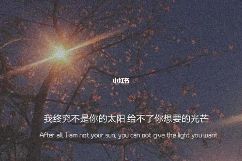 抖音经典文案