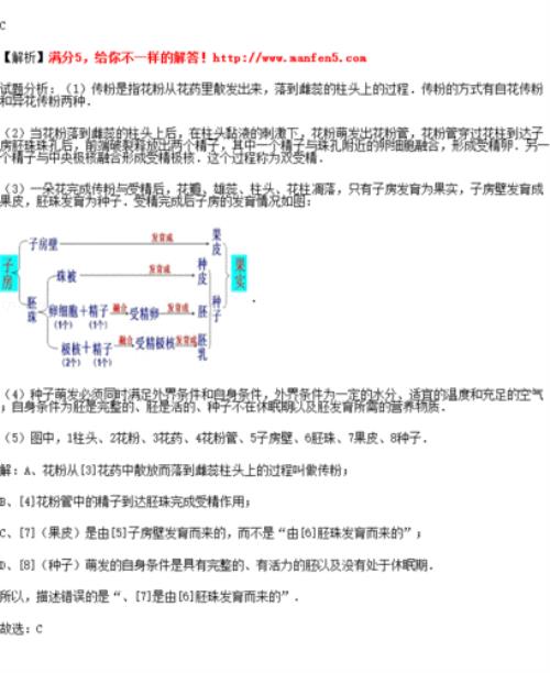 实是什么结构