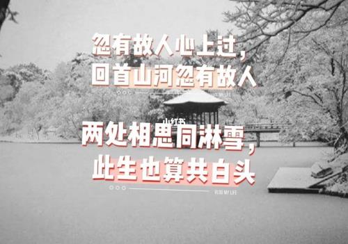 关于淋雪白头的诗句