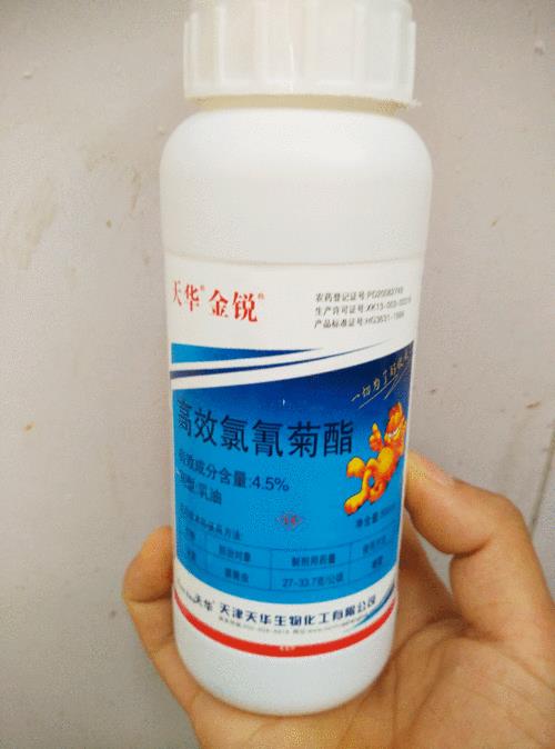 氯氟醚菊和四氟菊酯哪个安全