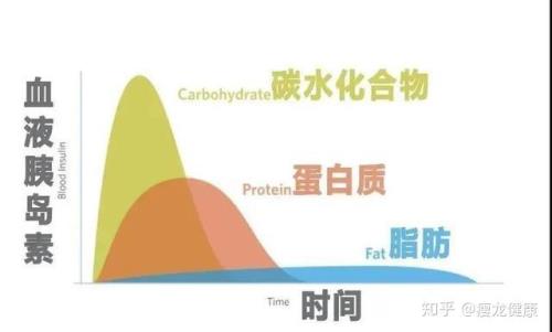 酮体名词解释