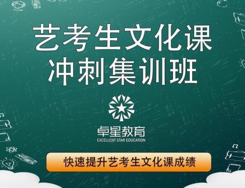 应届文化课什么意思