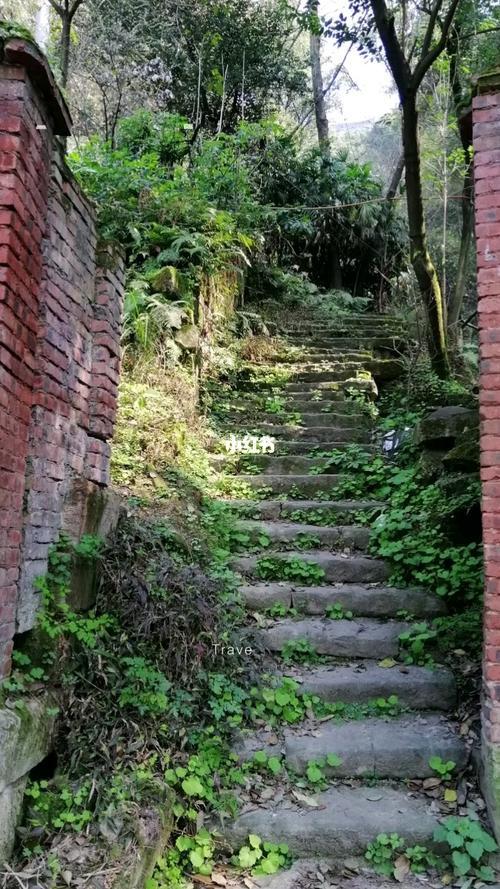 黄桷古道登山路线