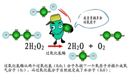 过氧化氢氧化目的