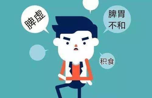 脾胃是什么意思