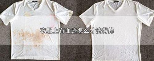 去除衣服上的血渍的方法