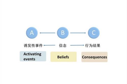 简单概述一下非理性信念的特点