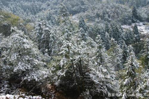 温州哪里下雪