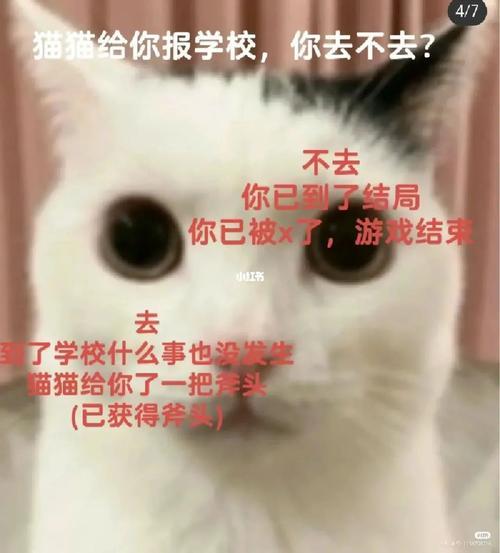 猫猫惊魂感人结局