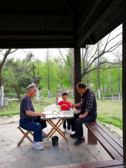 爷爷下棋入迷的样子写一段话