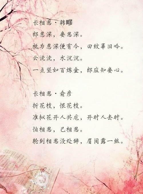 长相思是