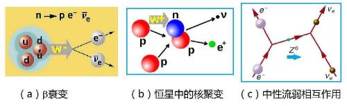 强相互作用包括哪些