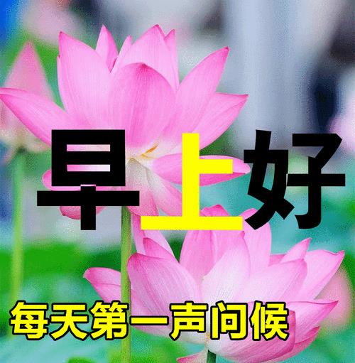 怎么礼貌回复早上好