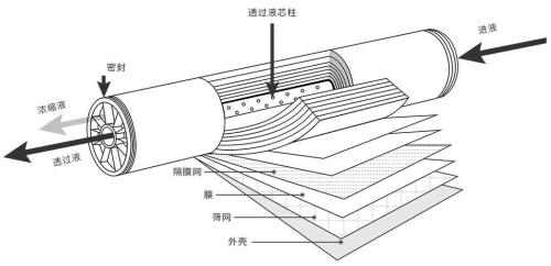 参与构成滤过膜的结构是