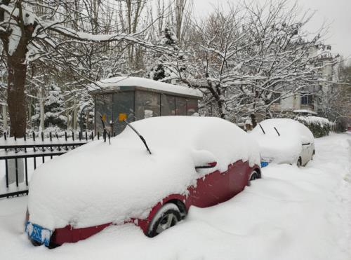 沈阳大暴雪是哪一年