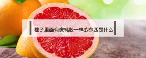 柚子中间有透明粘液是什么