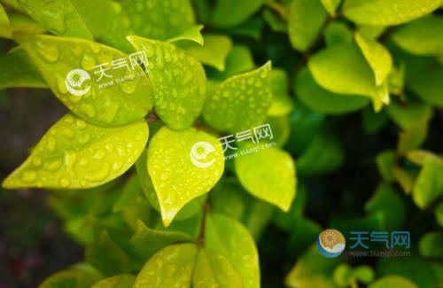 梅雨季是几月