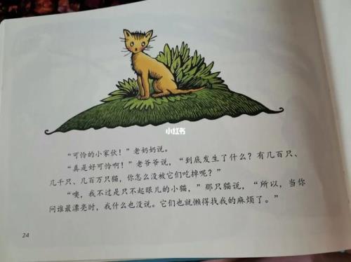 一百万只猫告诉我们什么道理