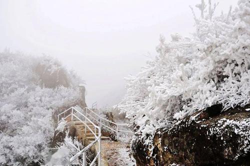 清远金子山最佳赏雪期