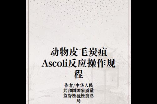 ascoli是哪国品牌