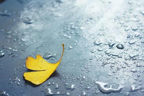 雨丝飘落下来仿写句子