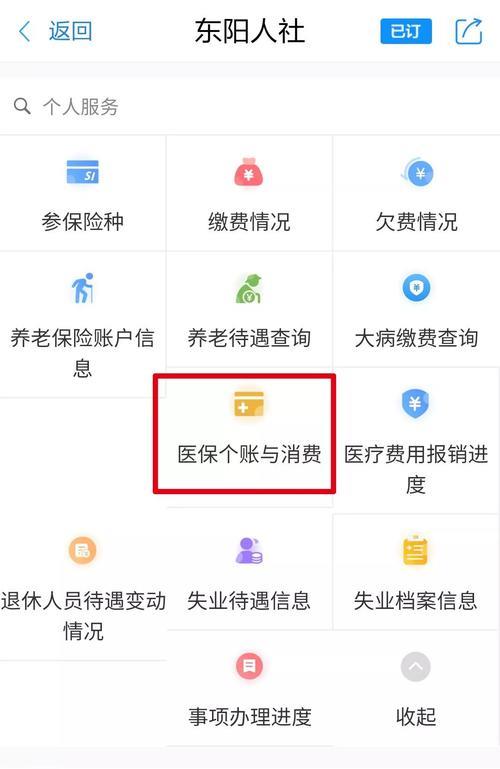 怎么查询医保个人账户明细