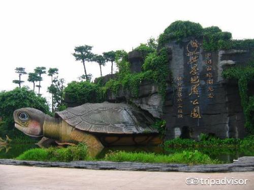 湛江不用门票的旅游景点