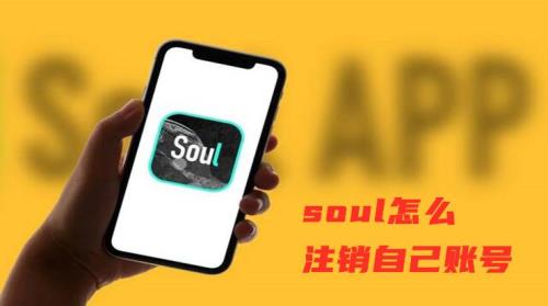 soul百科