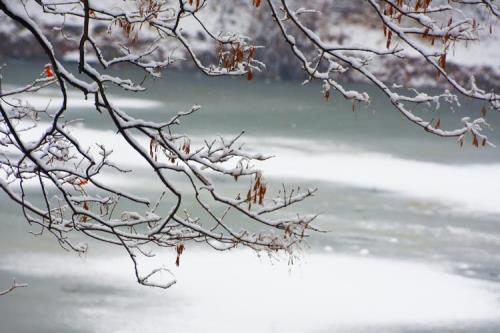 如若此时共淋雪下一句是什么