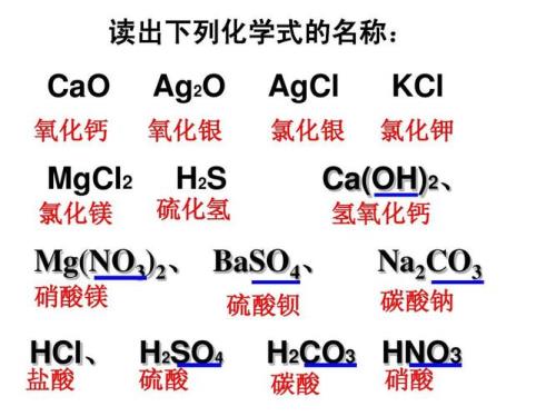 化学式H2S的宏观意义