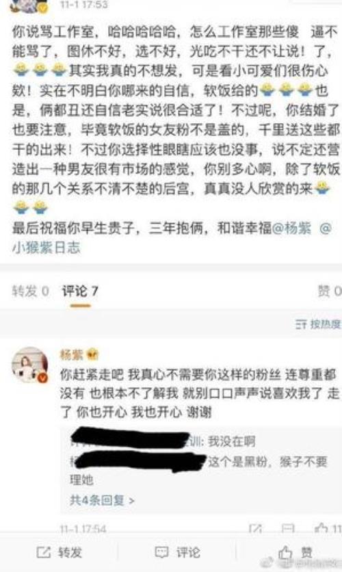 粉丝是什么意思