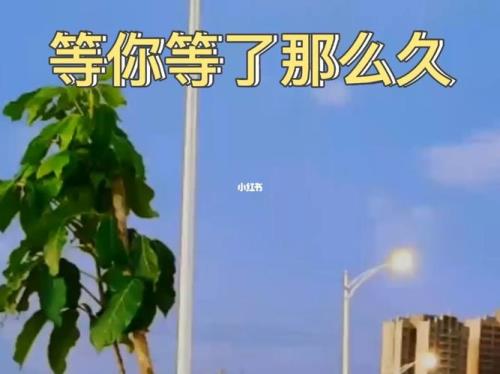 看了你那么久歌曲名