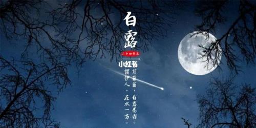 露从今夜白月是故乡明全诗