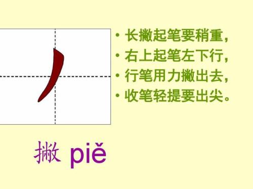 多字田字格正确笔顺