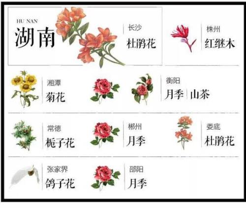 湖南的省花是什么