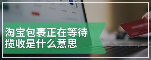 等待鉴定是什么意思