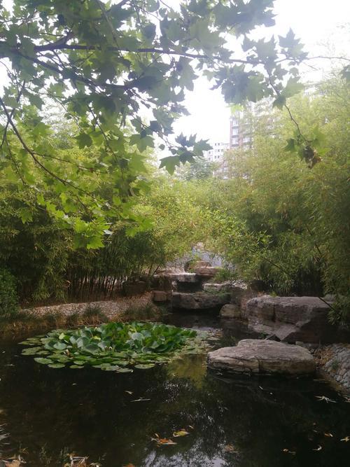 雨后的风吹得很舒服句子