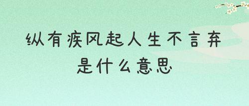 纵有疾风起什么时候大结局