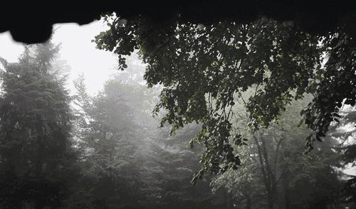 满城春雨主角陈静