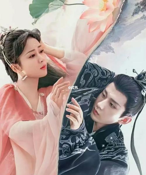 杨紫成毅确定3次合作了吗